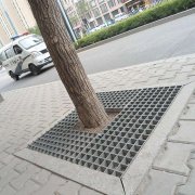 四川道(dào)路(lù)樹(shù)坑樹(shù)池篦子(zǐ)使用(yòng)案例