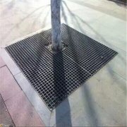 成都(dōu)道(dào)路(lù)樹(shù)池篦子(zǐ)産品使用(yòng)案例